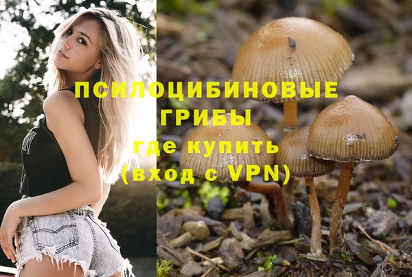 МДПВ Инта