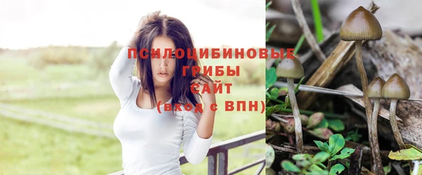 МДПВ Инта