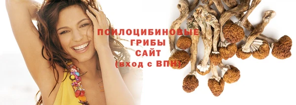 МДПВ Инта