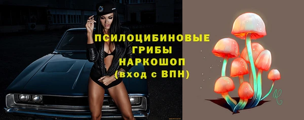 гидропоника Инсар