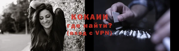 МДПВ Инта