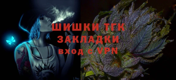МДПВ Инта